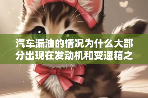 汽车漏油的情况为什么大部分出现在发动机和变速箱之间呢？
