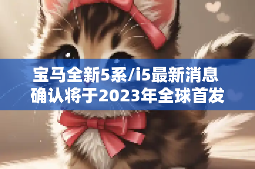 宝马全新5系/i5最新消息 确认将于2023年全球首发
