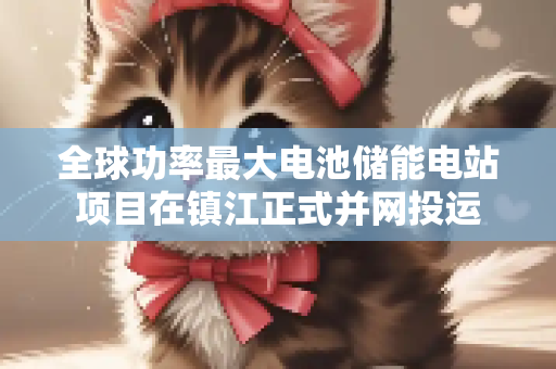 全球功率最大电池储能电站项目在镇江正式并网投运
