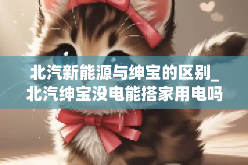 北汽新能源与绅宝的区别_北汽绅宝没电能搭家用电吗