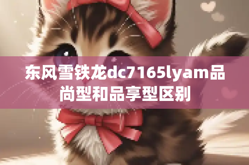 东风雪铁龙dc7165lyam品尚型和品享型区别