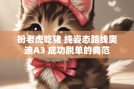 扮老虎吃猪 纯姿态路线奥迪A3 成功脱单的典范