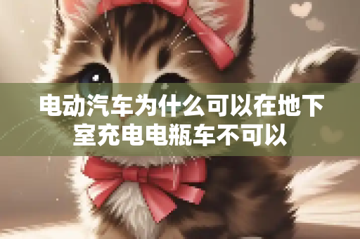 电动汽车为什么可以在地下室充电电瓶车不可以