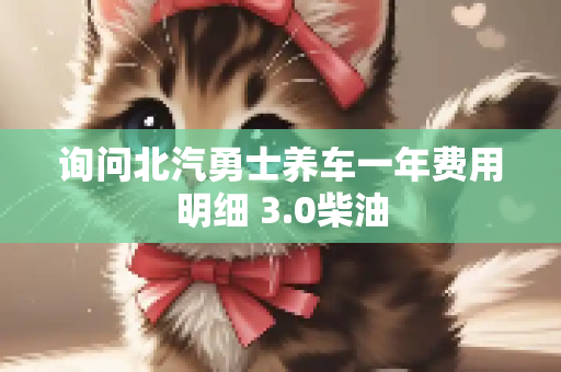 询问北汽勇士养车一年费用明细 3.0柴油