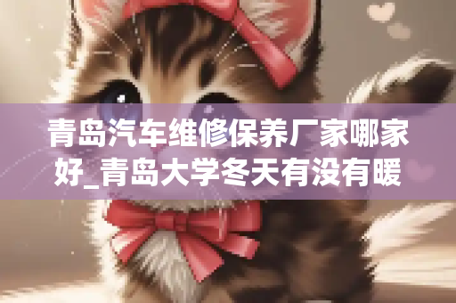 青岛汽车维修保养厂家哪家好_青岛大学冬天有没有暖气或者空调