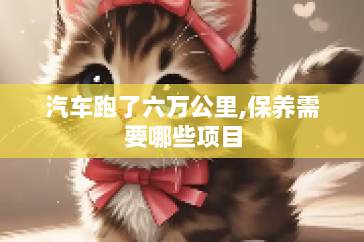 汽车跑了六万公里,保养需要哪些项目