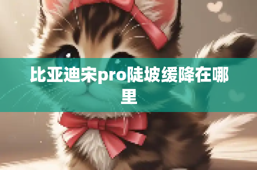 比亚迪宋pro陡坡缓降在哪里