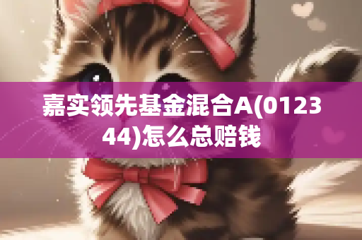 嘉实领先基金混合A(012344)怎么总赔钱