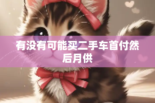 有没有可能买二手车首付然后月供