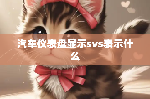 汽车仪表盘显示svs表示什么