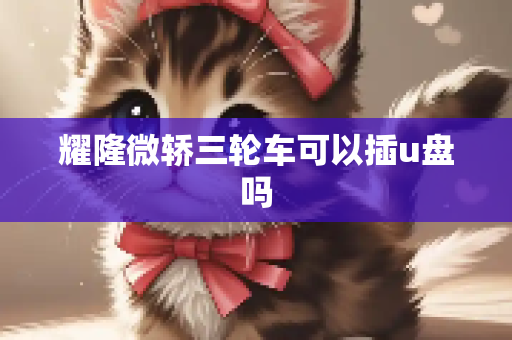 耀隆微轿三轮车可以插u盘吗