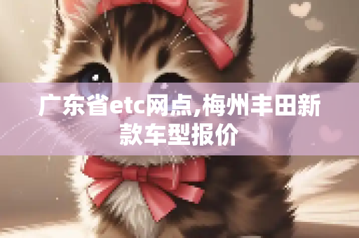 广东省etc网点,梅州丰田新款车型报价