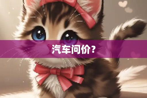 汽车问价？
