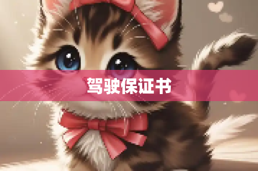 驾驶保证书