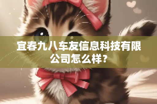 宜春九八车友信息科技有限公司怎么样？