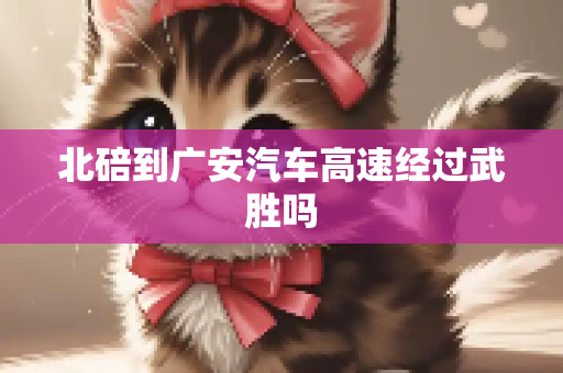 北碚到广安汽车高速经过武胜吗