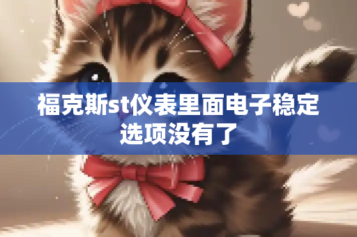 福克斯st仪表里面电子稳定选项没有了