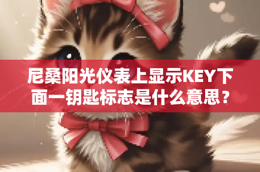 尼桑阳光仪表上显示KEY下面一钥匙标志是什么意思？