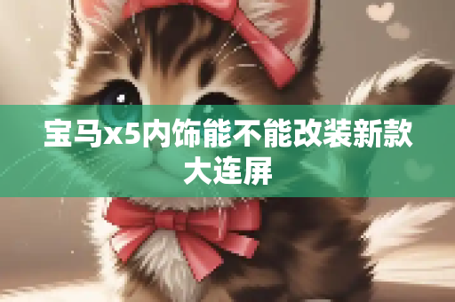 宝马x5内饰能不能改装新款大连屏