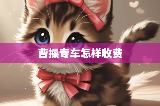 曹操专车怎样收费