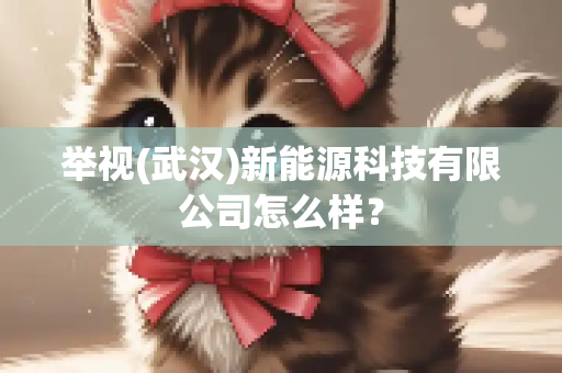 举视(武汉)新能源科技有限公司怎么样？