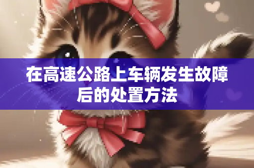 在高速公路上车辆发生故障后的处置方法