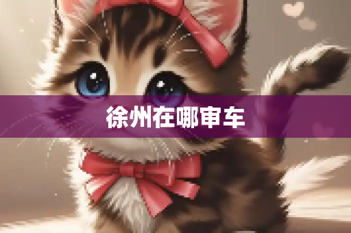 徐州在哪审车