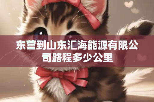 东营到山东汇海能源有限公司路程多少公里