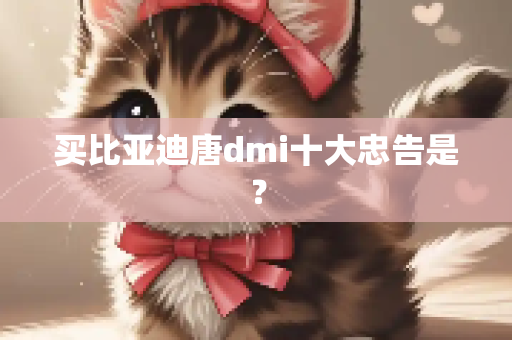 买比亚迪唐dmi十大忠告是？