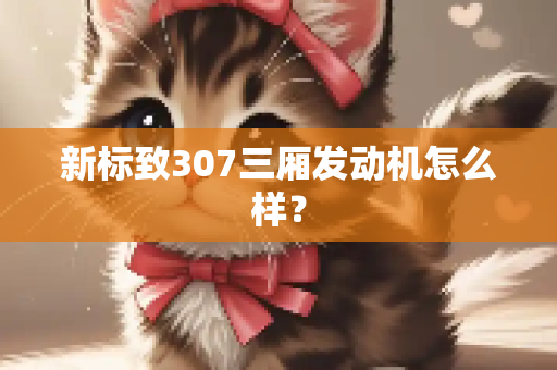 新标致307三厢发动机怎么样？