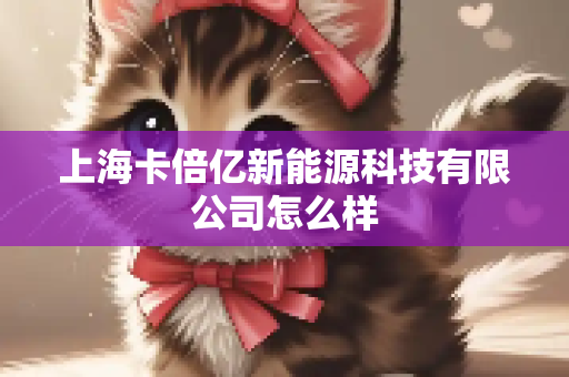 上海卡倍亿新能源科技有限公司怎么样