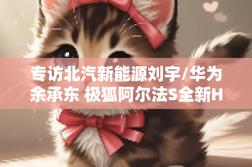 专访北汽新能源刘宇/华为余承东 极狐阿尔法S全新HI版上市