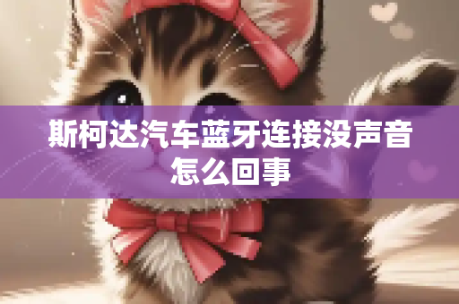 斯柯达汽车蓝牙连接没声音怎么回事