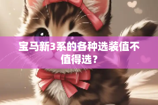 宝马新3系的各种选装值不值得选？