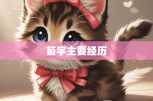 苗宇主要经历