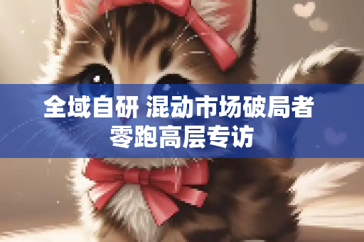 全域自研 混动市场破局者 零跑高层专访