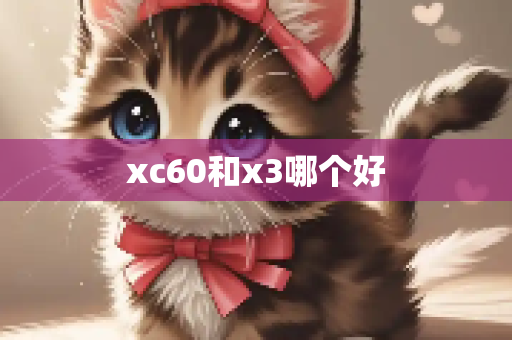 xc60和x3哪个好