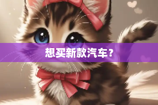 想买新款汽车？