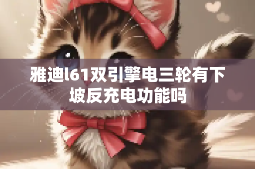 雅迪l61双引擎电三轮有下坡反充电功能吗