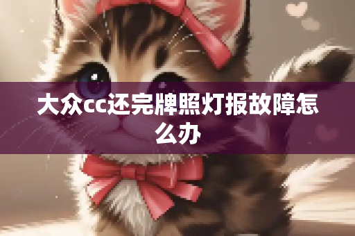 大众cc还完牌照灯报故障怎么办