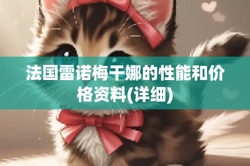 法国雷诺梅干娜的性能和价格资料(详细)