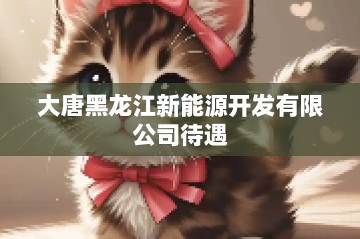 大唐黑龙江新能源开发有限公司待遇