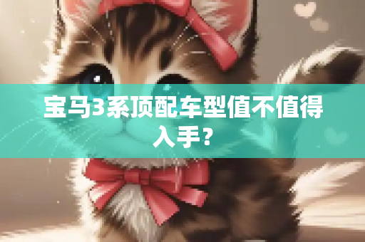 宝马3系顶配车型值不值得入手？