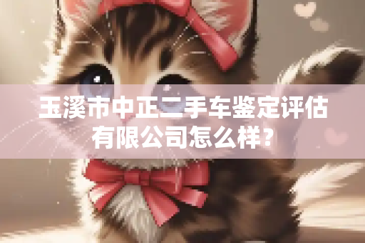 玉溪市中正二手车鉴定评估有限公司怎么样？