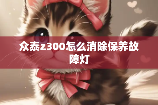 众泰z300怎么消除保养故障灯