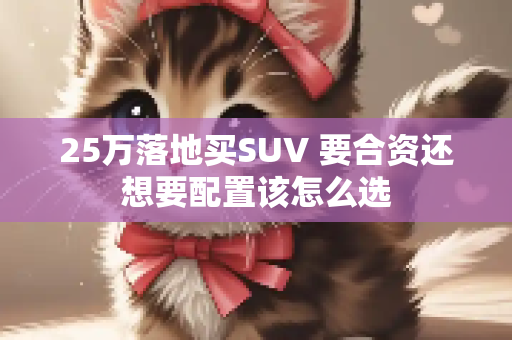 25万落地买SUV 要合资还想要配置该怎么选