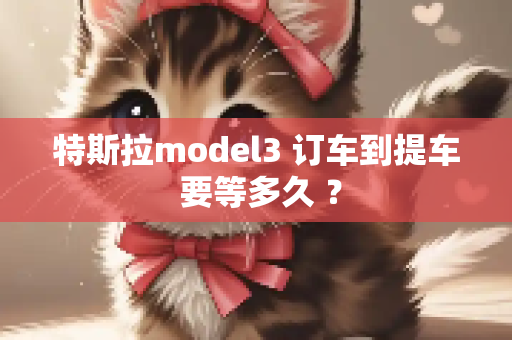 特斯拉model3 订车到提车 要等多久 ？