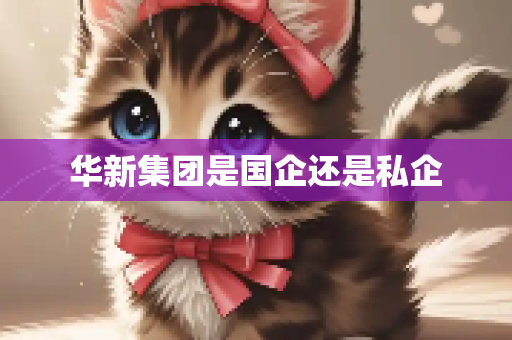 华新集团是国企还是私企