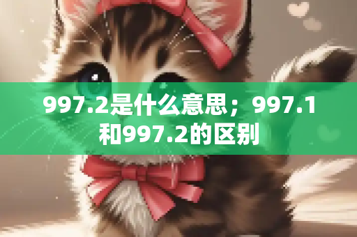 997.2是什么意思；997.1和997.2的区别