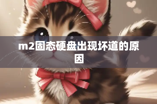 m2固态硬盘出现坏道的原因